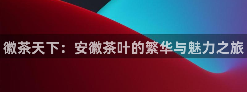 安信锐赢134号12月