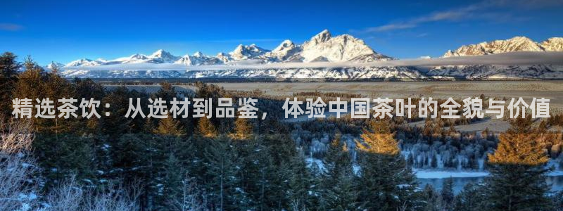 安信可12e12f