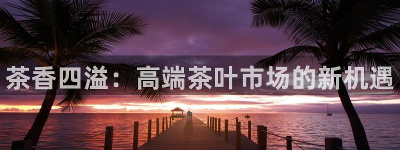 安信12想开户