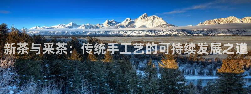 安信12如何开代理
