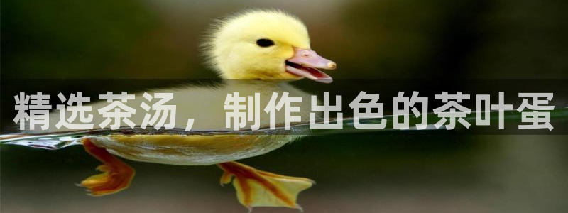 安信12负责人