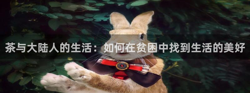 安信12官方网站查询