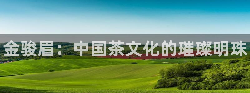 安信12