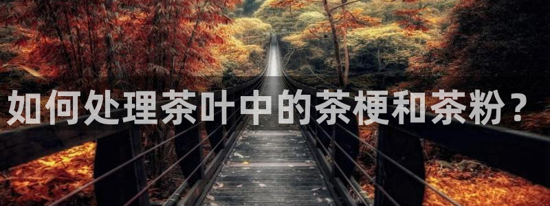 安信12如何开代理