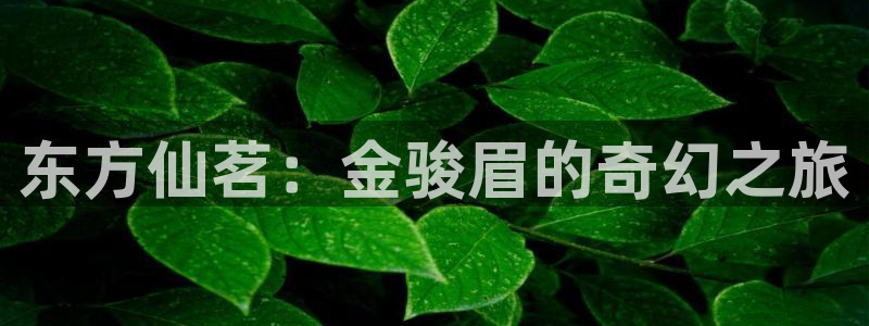 安立信T12测评