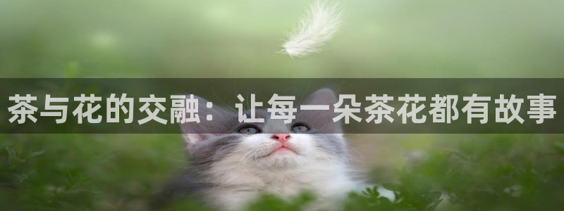 安信锐赢134号12月