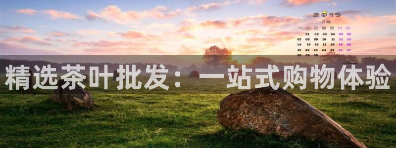 安信12娱乐招商