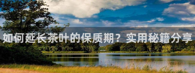 安立信T12测评