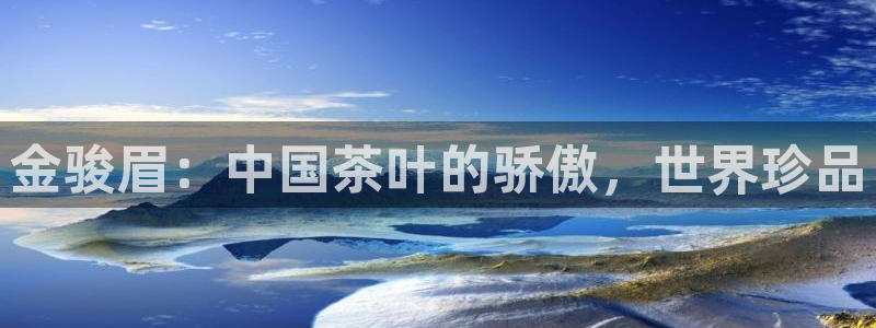 安信证券 12位