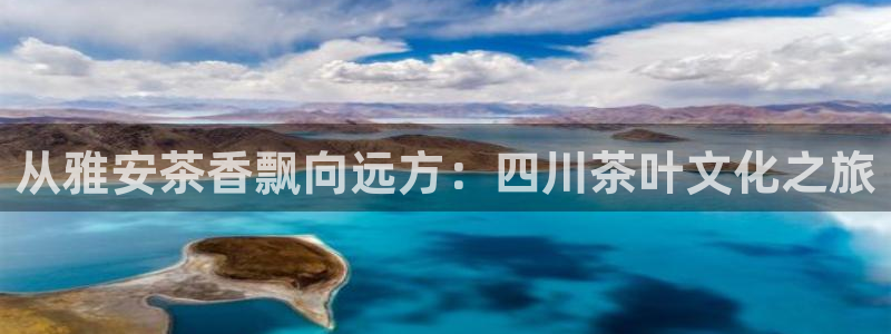 安信12级灯牌