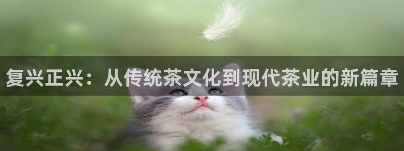 安信12开户