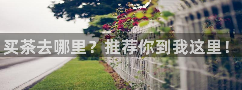 安卓12微信