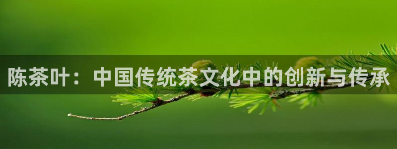 安信娱乐12登录地址