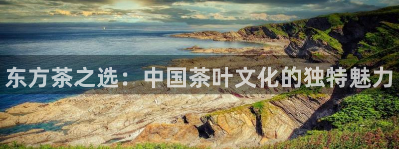 安信12平台注册