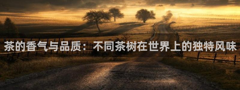 安信12登录网址