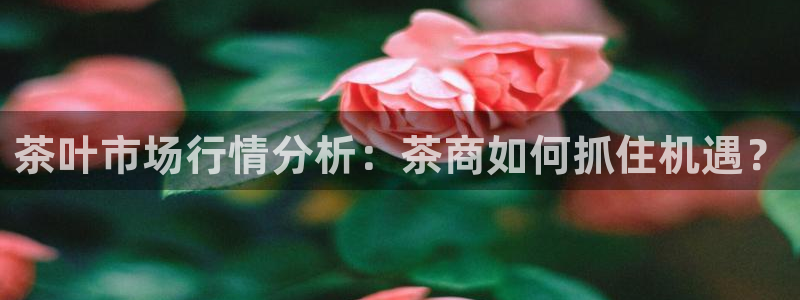 安信12娱乐注册