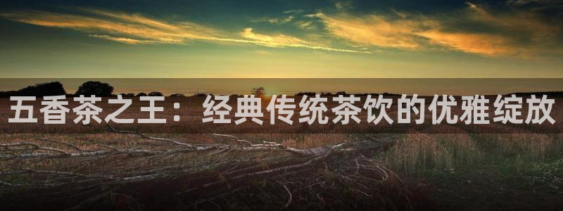 安信12周年庆典