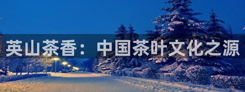 安信12平台的网址