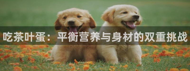 安信12是正规平台吗