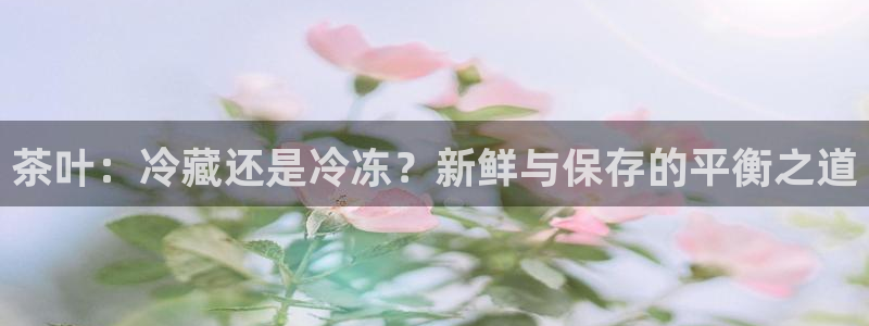 安信12娱乐代理