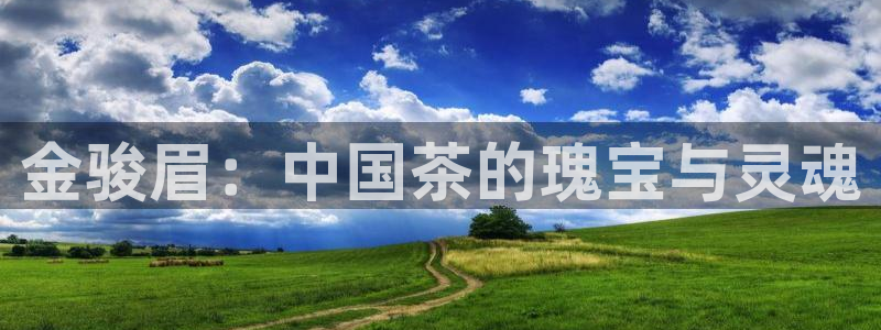 安信12平台注册