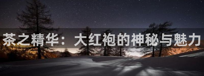 安信12娱乐登录网页