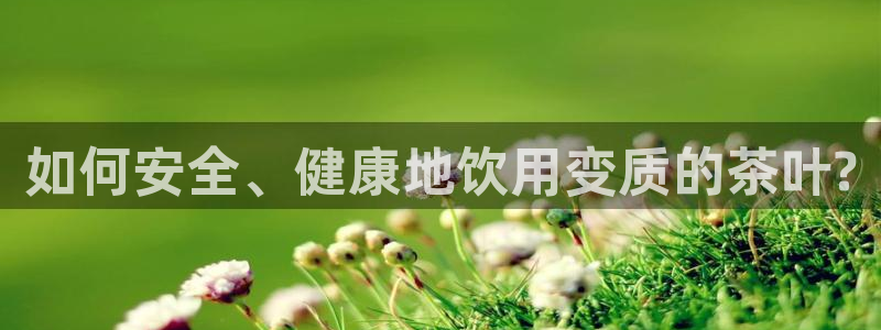 安信12怎么注册