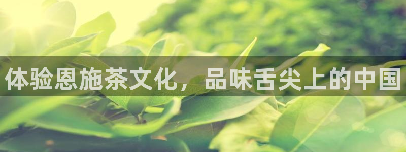 安信4娱乐去55 12