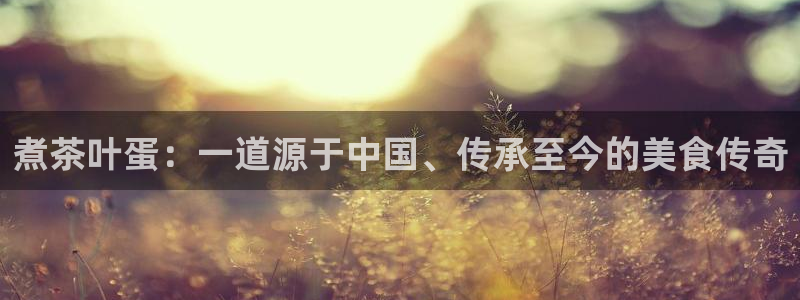 安信安翼 12账号