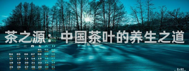 安信12平台注册