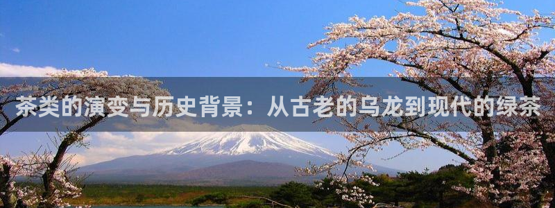 安信122853179Z空间