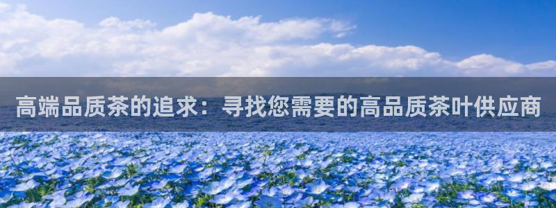 安信12平台的网址