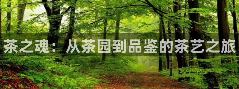 安信12专用挂机