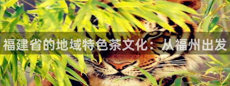 安信12平台注册