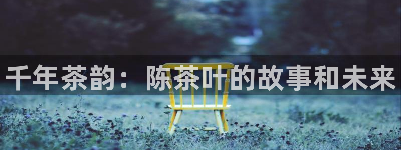 安信12怎么下载