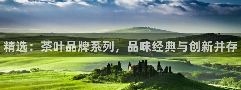 安信12怎么下载