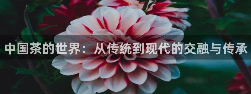 安信12正版下载