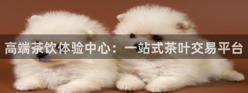 安信12是什么软件