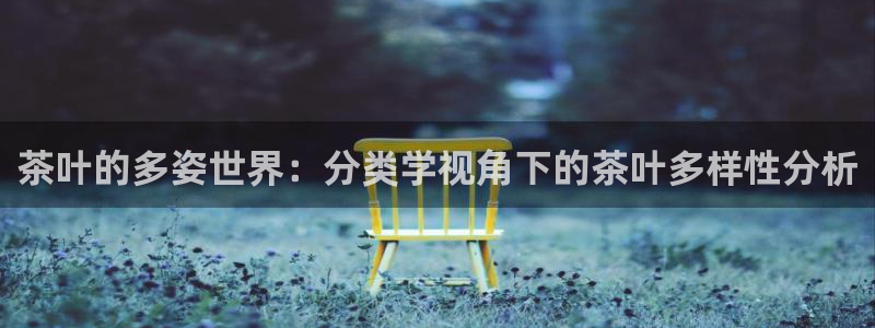 安信娱乐12登录地址