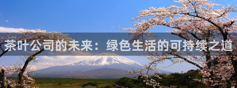 安信12注册咋7O777