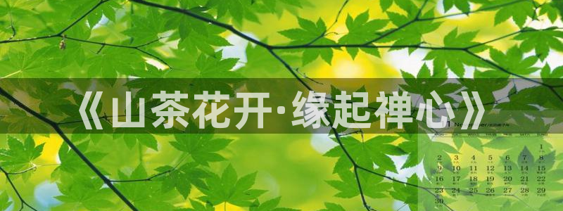 安信4娱乐去55 12