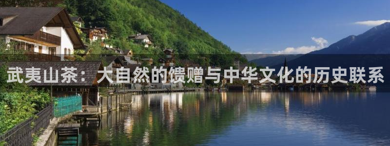 安信12是正轨网站吗