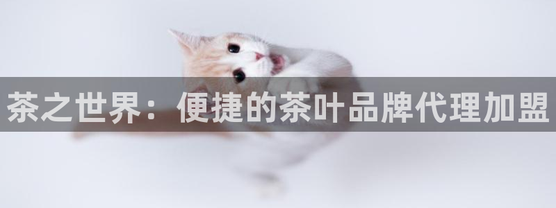 安信12是什么软件