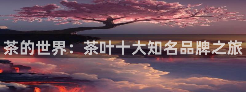 安信12是什么软件