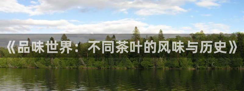 安信安盈12最新消息