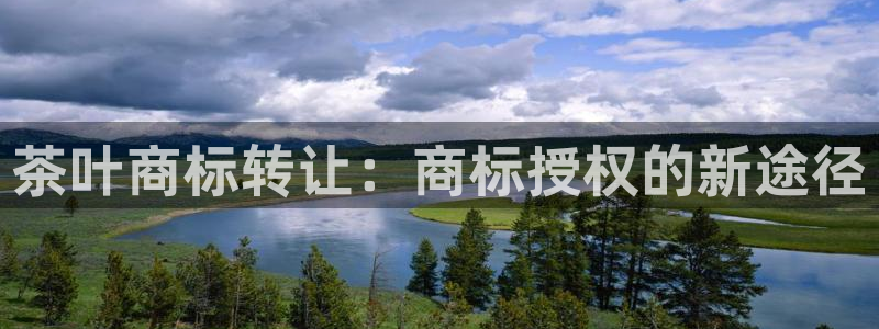 安信12专用挂机