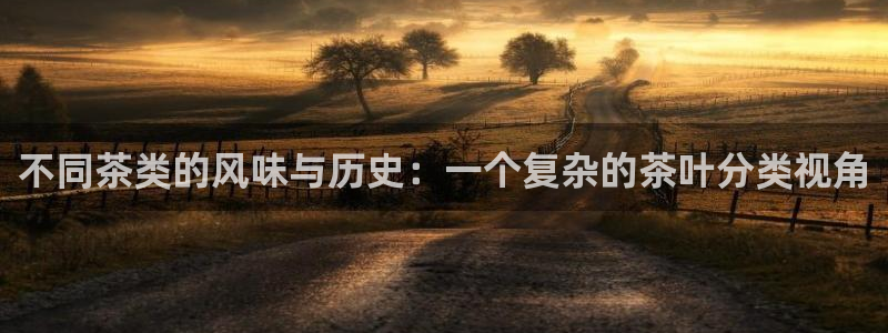 安信12是正规还是仿