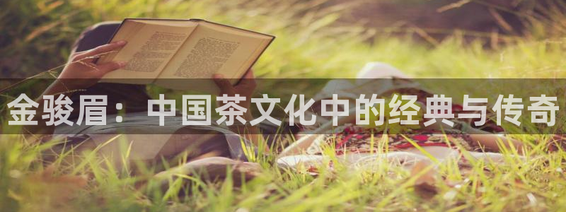 安信12注册登录平台