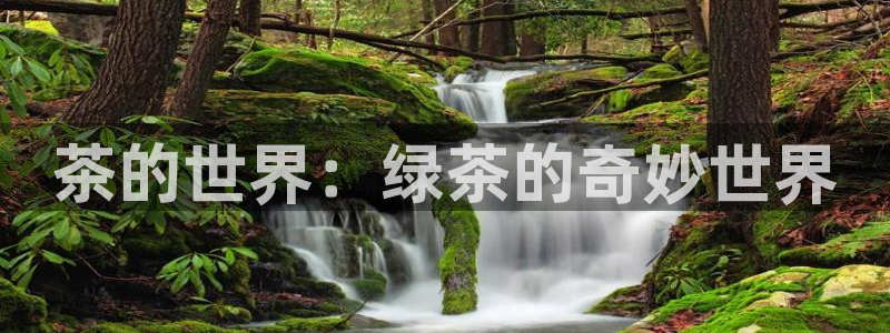 安信娱乐12登录地址