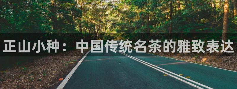 安信12是正规平台吗